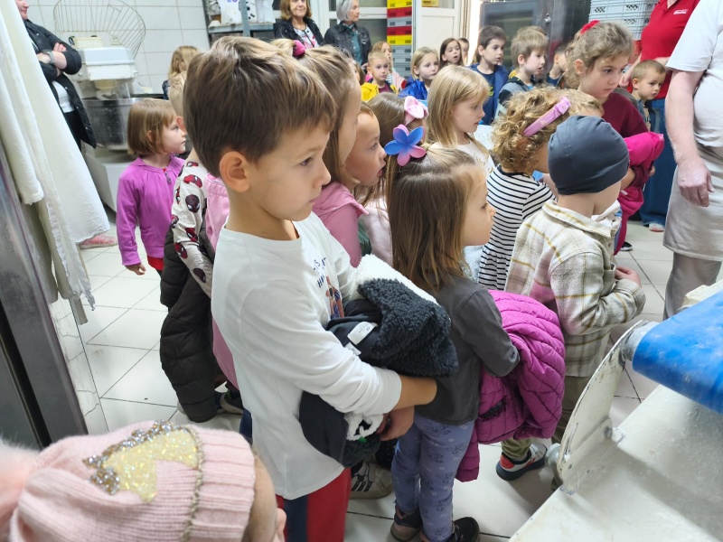  Leptirići i Bumblebees u posjetu pekari - slika broj: 6